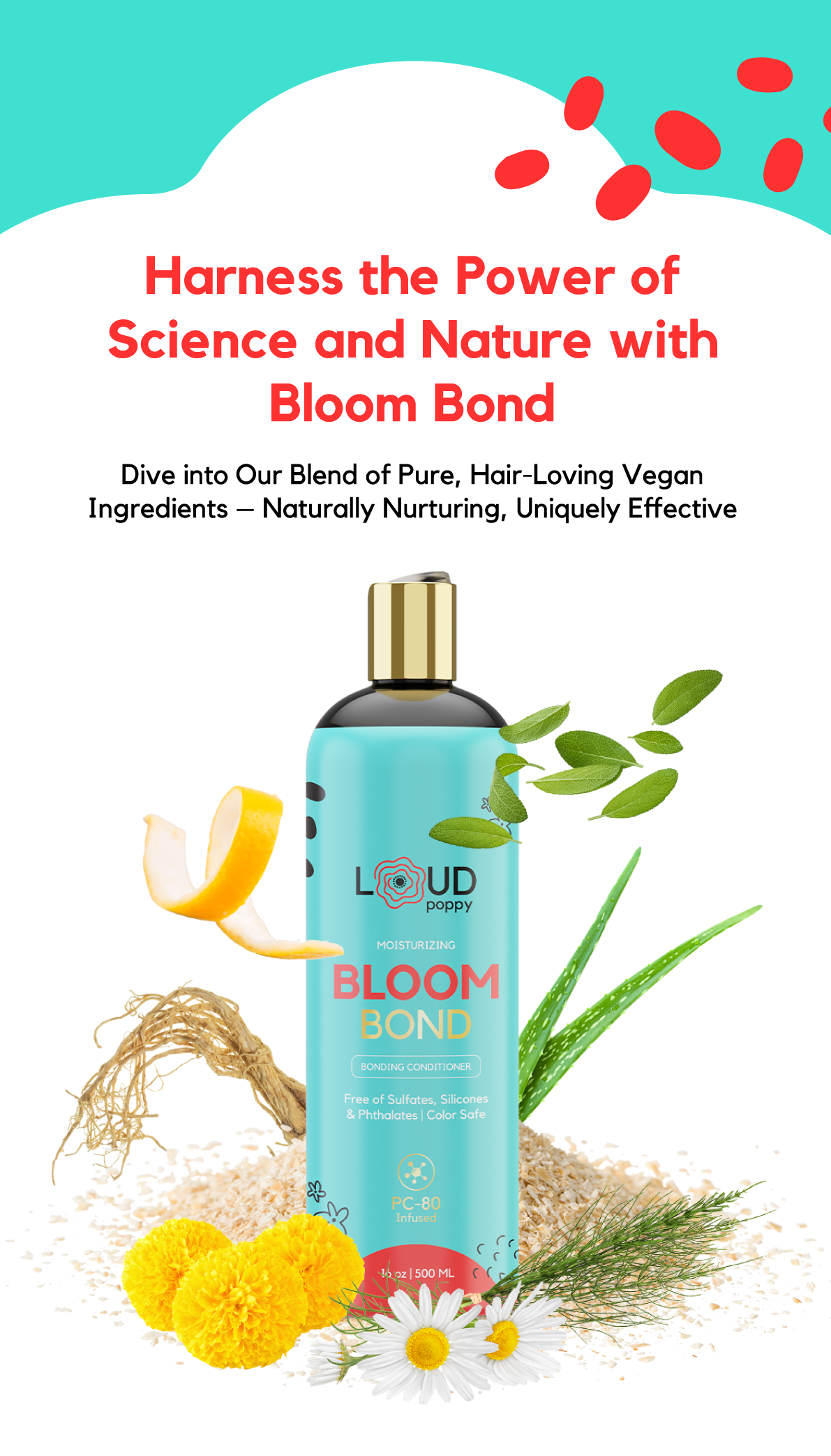 Bloom Bond 12 ml Sample - Elevate Your Hair's Health and Shine